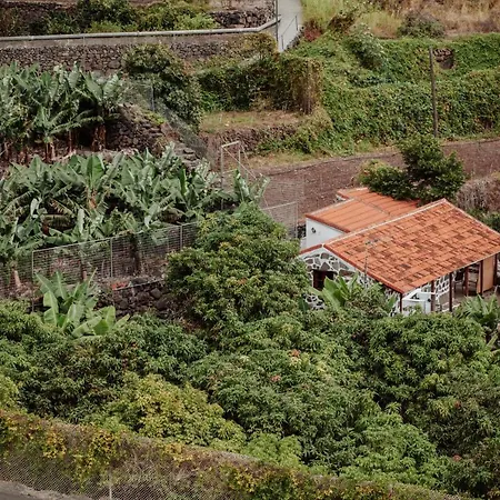 Finca El Molino Viejo - Paz Con Vistas Al Teide Дом отдыха *